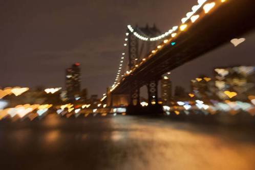 image by lisa futterman
